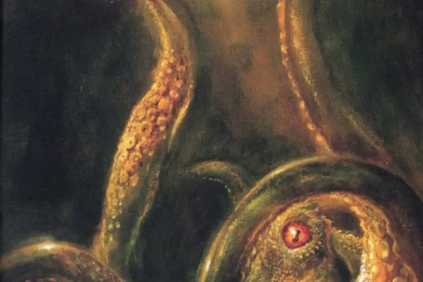 Kraken 20at net