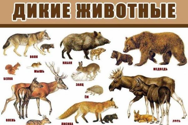 Кракен работает