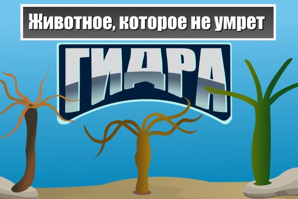 Актуальная ссылка на кракен в тор 2krnmarket