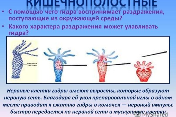 Kraken сайт зеркала