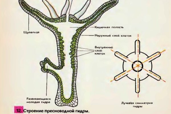 Kraken12 at сайт