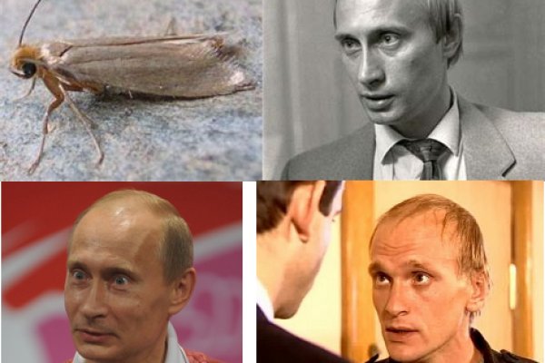 Новый адрес кракен